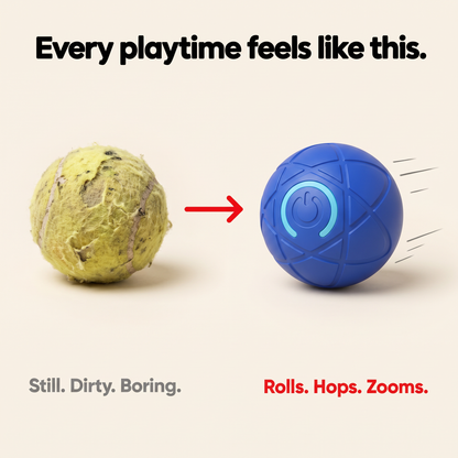 Zoomie Orb™